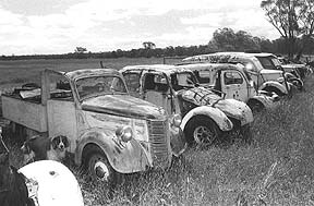 Alan Steven's backyard