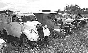 Alan Steven's Backyard