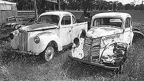 Alan Steven's backyard